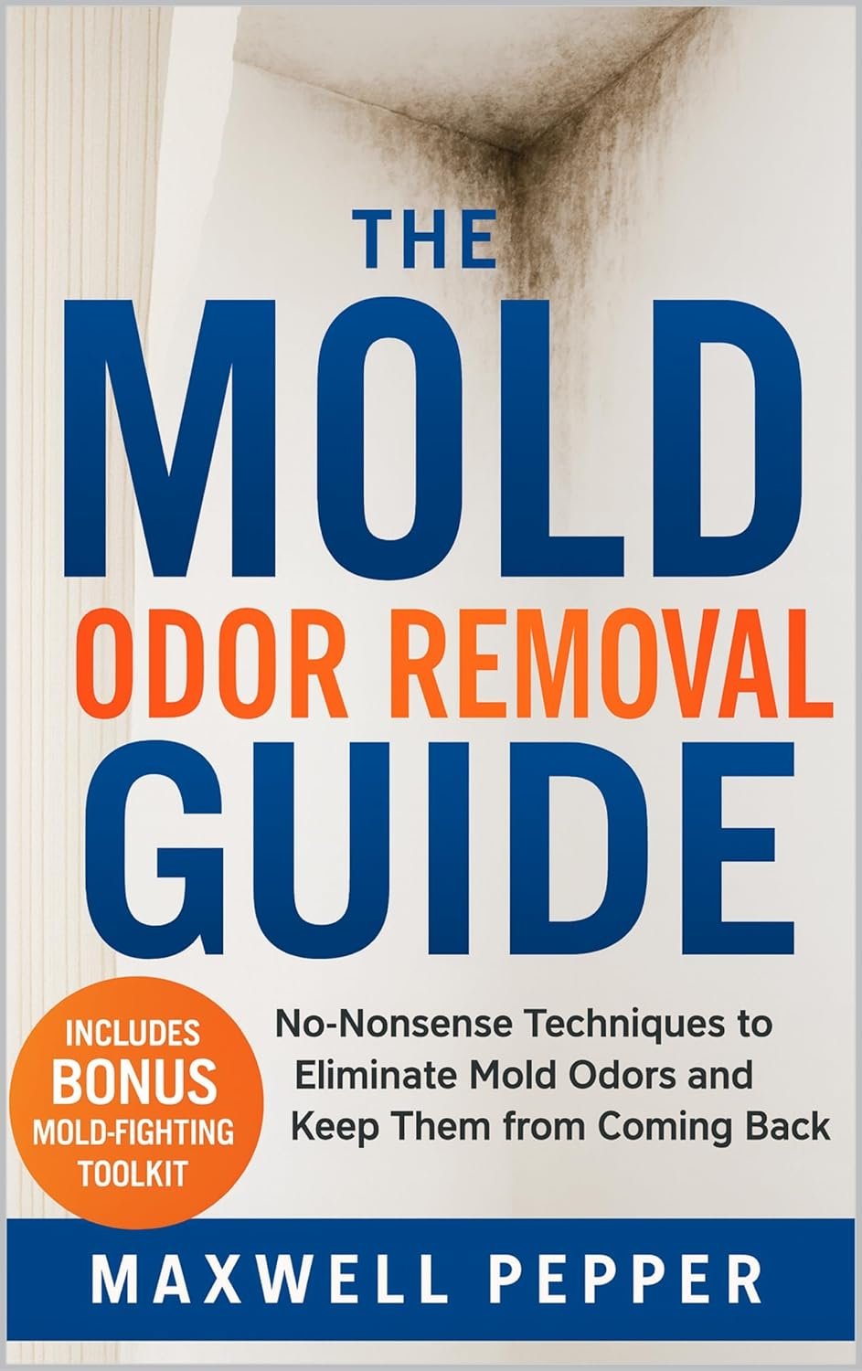 The Mold Odor Removal Guide